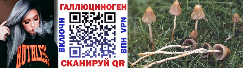 купить наркотик  Волосово  shop официальный сайт  Псилоцибиновые грибы мухоморы 